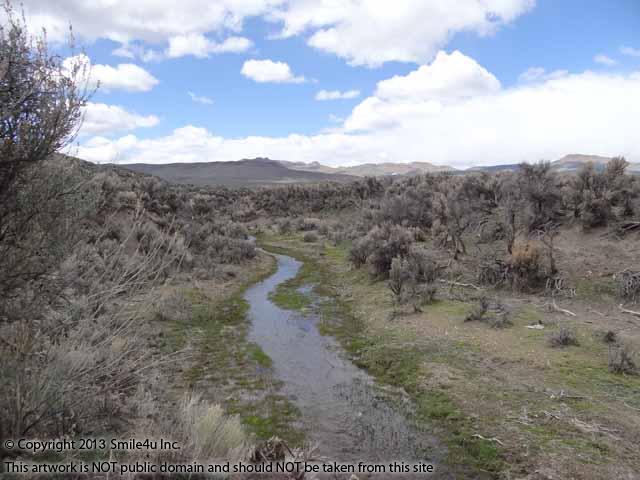 Jackstone Creek is a tributary to the North Fork of the Humboldt River that runs through Meadow Valley Ranchos Subdivision in Elko Nevada. It is such a treat seeing water flowing through the Jackstone Creek this time of the year!
